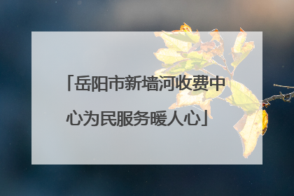 岳阳市新墙河收费中心为民服务暖人心