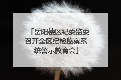 岳阳楼区纪委监委召开全区纪检监察系统警示教育会