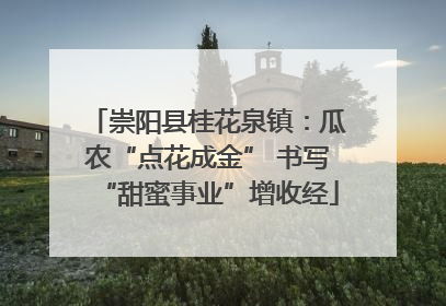 崇阳县桂花泉镇：瓜农“点花成金” 书写“甜蜜事业”增收经
