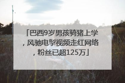 巴西9岁男孩骑猪上学，风驰电掣视频走红网络，粉丝已超125万