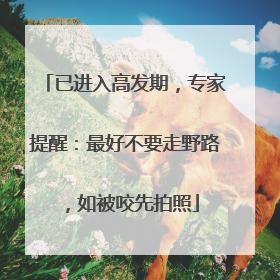 已进入高发期，专家提醒：最好不要走野路，如被咬先拍照