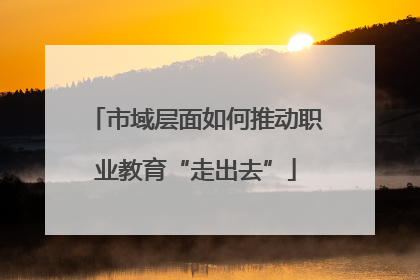 市域层面如何推动职业教育“走出去”