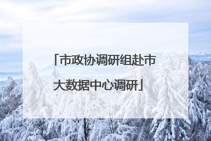 市政协调研组赴市大数据中心调研