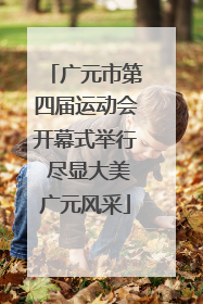 广元市第四届运动会开幕式举行 尽显大美广元风采