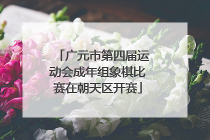 广元市第四届运动会成年组象棋比赛在朝天区开赛