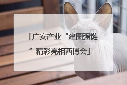广安产业“建圈强链”精彩亮相西博会