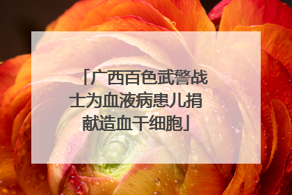 广西百色武警战士为血液病患儿捐献造血干细胞