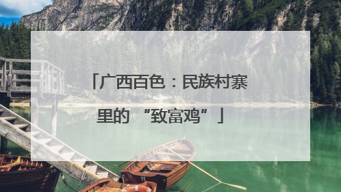 广西百色：民族村寨里的 “致富鸡”