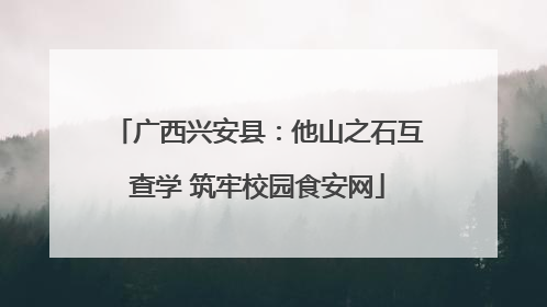 广西兴安县：他山之石互查学 筑牢校园食安网