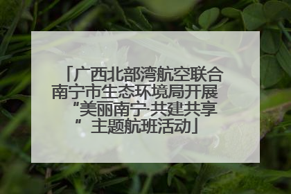 广西北部湾航空联合南宁市生态环境局开展“美丽南宁·共建共享”主题航班活动