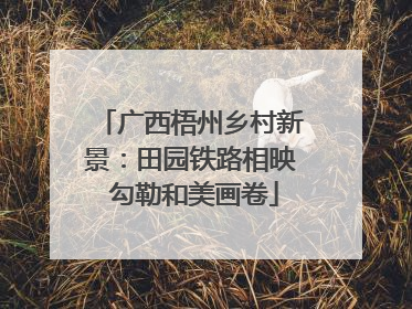 广西梧州乡村新景：田园铁路相映 勾勒和美画卷