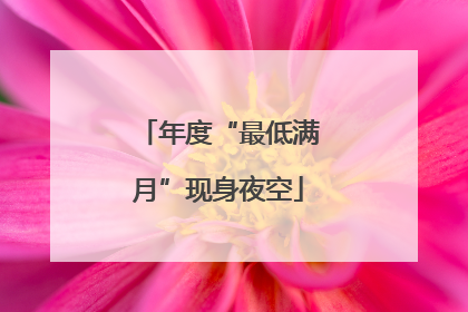 年度“最低满月”现身夜空