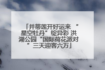 并蒂莲开好运来 “星空牡丹”绽异彩 洪湖公园“国际荷花派对”三天迎客六万