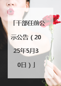 干部任前公示公告（2025年5月30日）