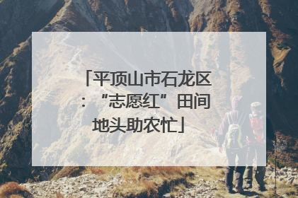平顶山市石龙区：“志愿红”田间地头助农忙