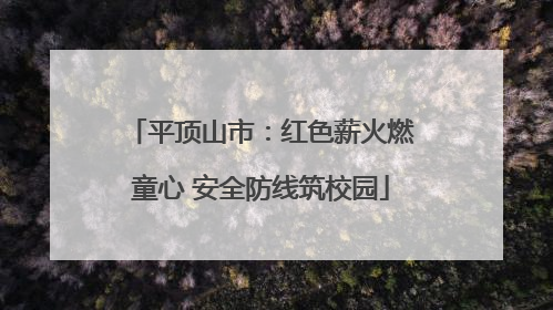 平顶山市：红色薪火燃童心 安全防线筑校园