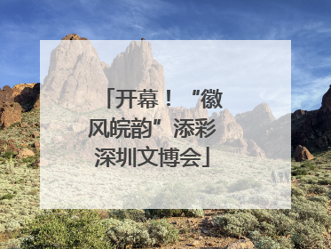 开幕！“徽风皖韵”添彩深圳文博会