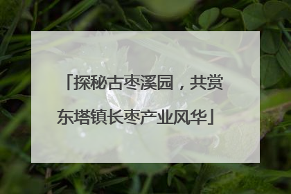 探秘古枣溪园，共赏东塔镇长枣产业风华