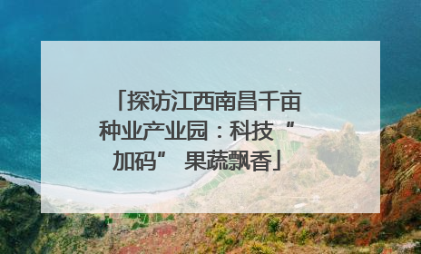 探访江西南昌千亩种业产业园：科技“加码” 果蔬飘香