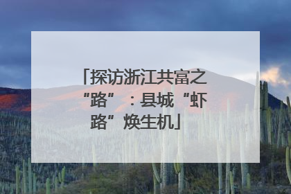 探访浙江共富之“路”：县城“虾路”焕生机