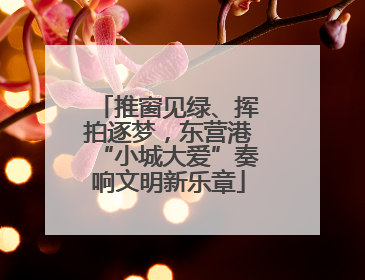 推窗见绿、挥拍逐梦，东营港“小城大爱”奏响文明新乐章
