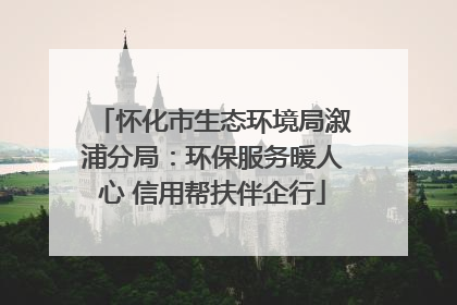 怀化市生态环境局溆浦分局：环保服务暖人心 信用帮扶伴企行