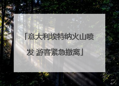 意大利埃特纳火山喷发 游客紧急撤离