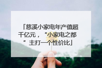慈溪小家电年产值超千亿元，“小家电之都”主打一个性价比