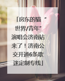房东的猫“世界/青年”演唱会济南站来了！济南公交开通6条歌迷定制专线