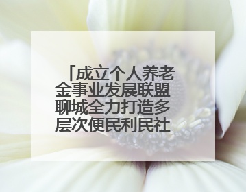 成立个人养老金事业发展联盟聊城全力打造多层次便民利民社保生态