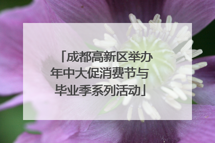 成都高新区举办年中大促消费节与毕业季系列活动
