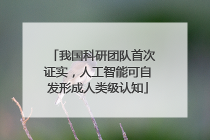 我国科研团队首次证实，人工智能可自发形成人类级认知