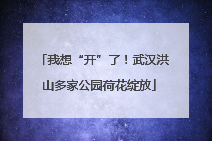 我想“开”了！武汉洪山多家公园荷花绽放