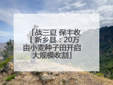 战三夏 保丰收丨新乡县：20万亩小麦种子田开启大规模收割