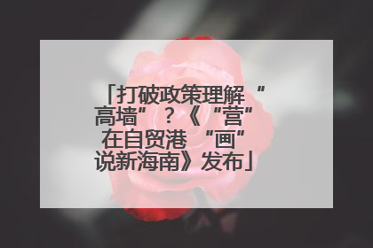 打破政策理解“高墙”？《“营”在自贸港 “画”说新海南》发布