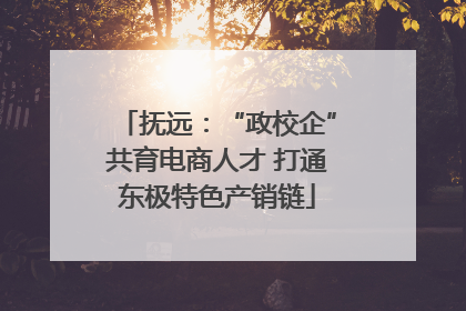 抚远：“政校企”共育电商人才 打通东极特色产销链