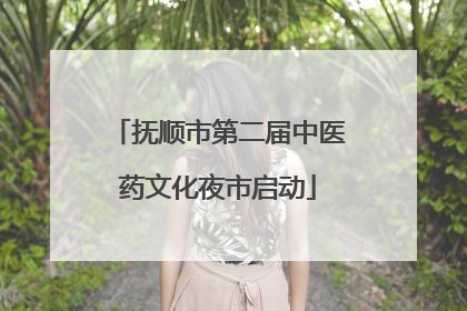 抚顺市第二届中医药文化夜市启动
