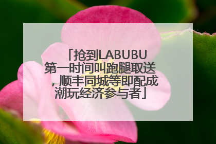抢到LABUBU第一时间叫跑腿取送，顺丰同城等即配成潮玩经济参与者