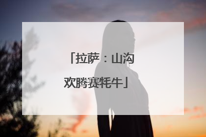 拉萨：山沟欢腾赛牦牛