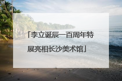 李立诞辰一百周年特展亮相长沙美术馆