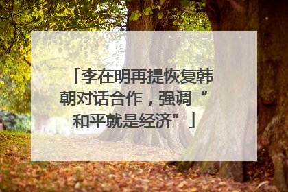 李在明再提恢复韩朝对话合作，强调“和平就是经济”