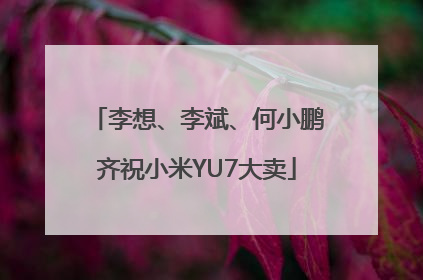 李想、李斌、何小鹏齐祝小米YU7大卖