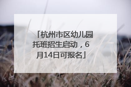 杭州市区幼儿园托班招生启动，6月14日可报名
