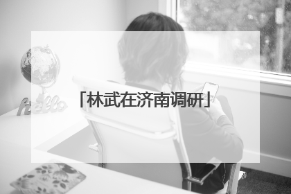 林武在济南调研