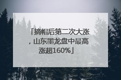 摘帽后第二次大涨，山东墨龙盘中最高涨超160%