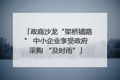 政商沙龙“架桥铺路” 中小企业享受政府采购 “及时雨”