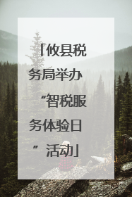 攸县税务局举办“智税服务体验日”活动