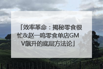 效率革命：揭秘零食很忙&赵一鸣零食单店GMV飙升的底层方法论