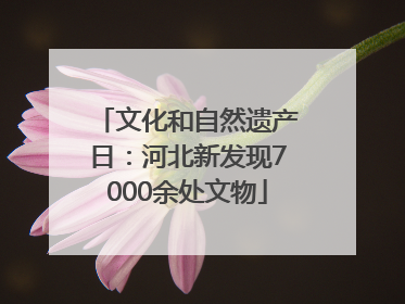 文化和自然遗产日：河北新发现7000余处文物