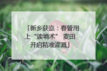 新乡获嘉：春管用上“读墒术” 麦田开启精准灌溉